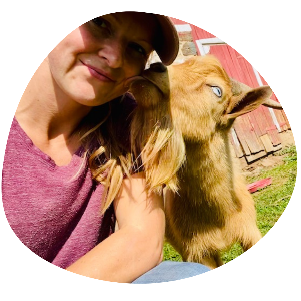 Ironstone Creek Farm (1)