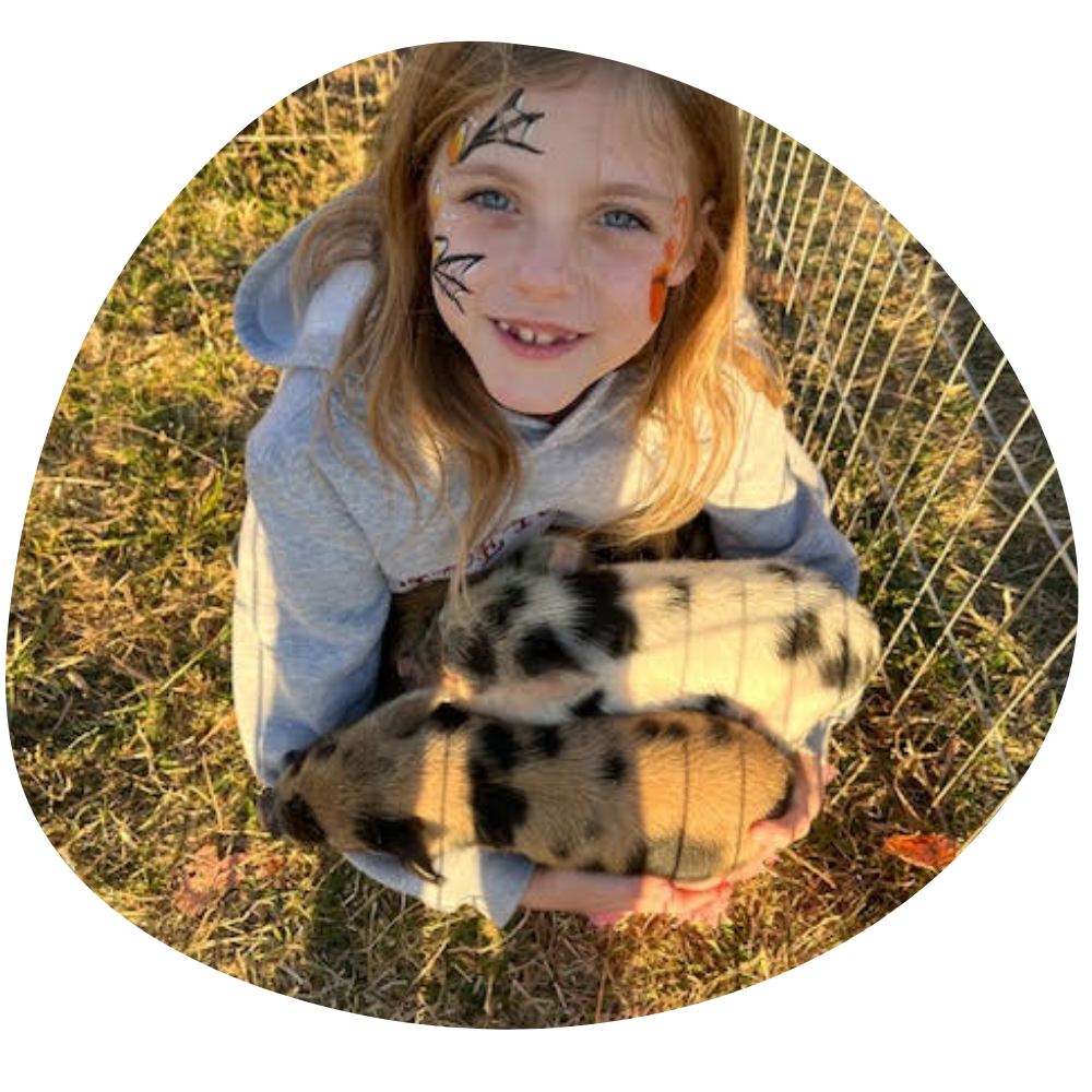 Ironstone Creek Farm (10)